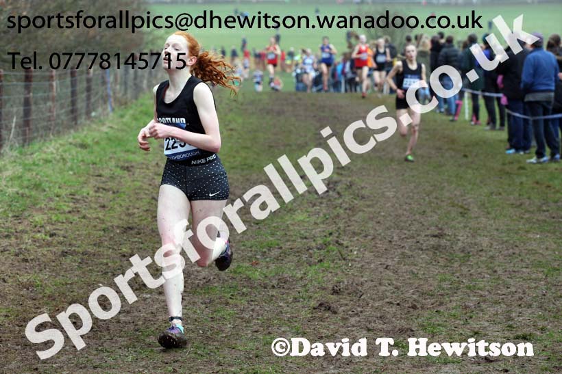 Womens under-17s Inter Counties Cross Country, Prestwold Hall, Loughborough. Photo: David T. Hewitson/Sports for All Pics